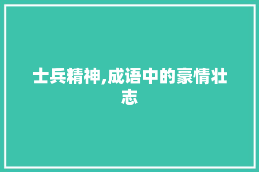士兵精神,成语中的豪情壮志