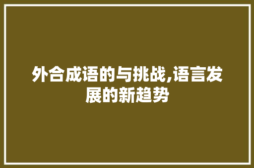 外合成语的与挑战,语言发展的新趋势