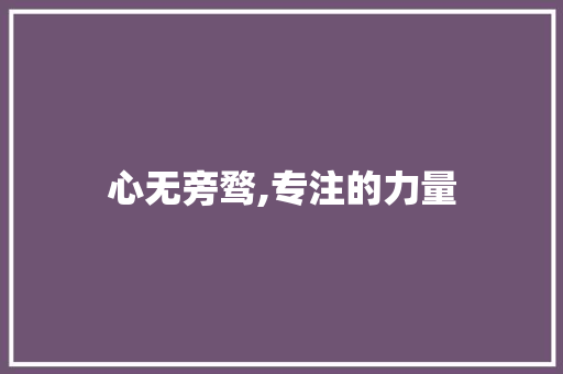 心无旁骛,专注的力量