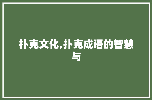 扑克文化,扑克成语的智慧与 会议纪要