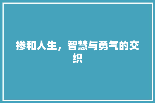 掺和人生，智慧与勇气的交织