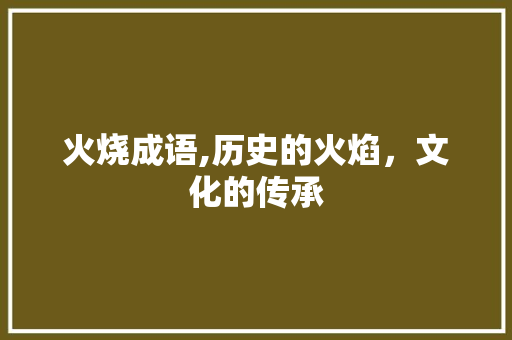 火烧成语,历史的火焰，文化的传承