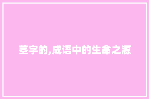 茎字的,成语中的生命之源 会议纪要
