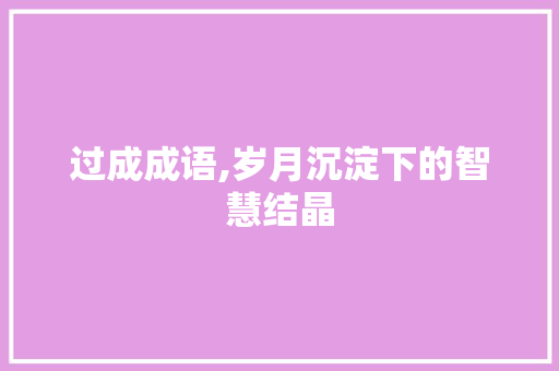 过成成语,岁月沉淀下的智慧结晶 诗词体裁