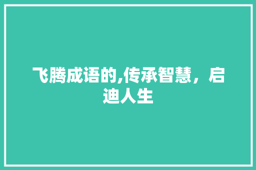 飞腾成语的,传承智慧，启迪人生
