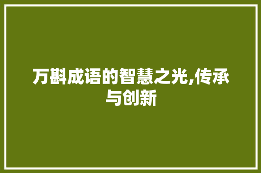 万斟成语的智慧之光,传承与创新 诗词鉴赏