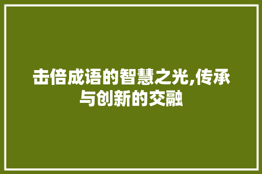 击倍成语的智慧之光,传承与创新的交融 职场写作