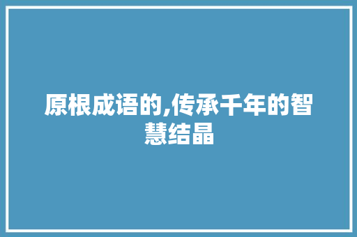原根成语的,传承千年的智慧结晶