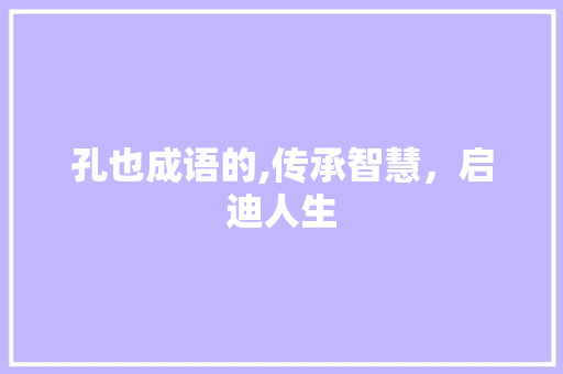 孔也成语的,传承智慧，启迪人生 工作总结