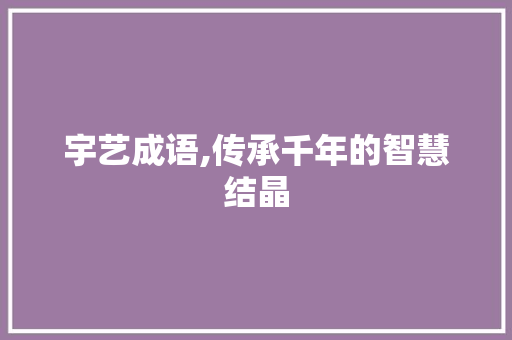 宇艺成语,传承千年的智慧结晶 项目报告