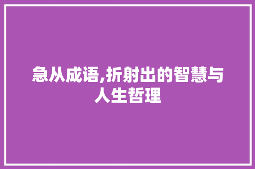 急从成语,折射出的智慧与人生哲理