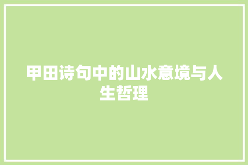 甲田诗句中的山水意境与人生哲理 职场写作