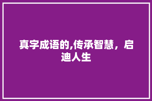 真字成语的,传承智慧，启迪人生
