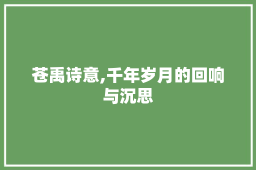 苍禹诗意,千年岁月的回响与沉思