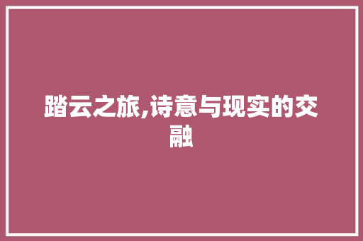 踏云之旅,诗意与现实的交融