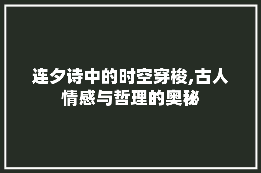 连夕诗中的时空穿梭,古人情感与哲理的奥秘