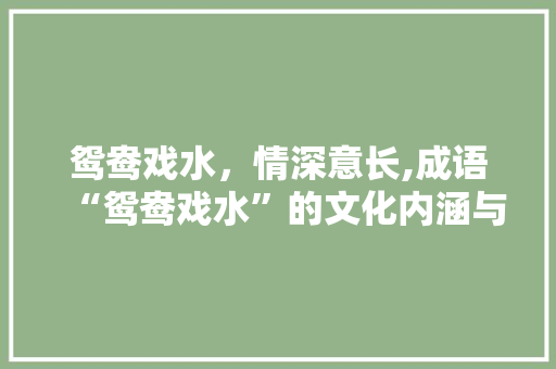 鸳鸯戏水，情深意长,成语“鸳鸯戏水”的文化内涵与启示