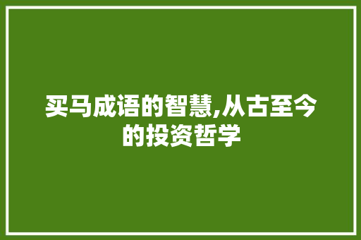 买马成语的智慧,从古至今的投资哲学 工作总结