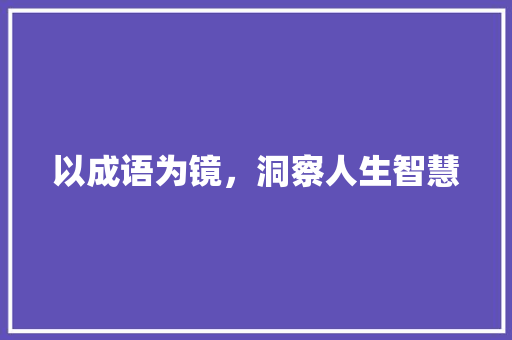 以成语为镜，洞察人生智慧
