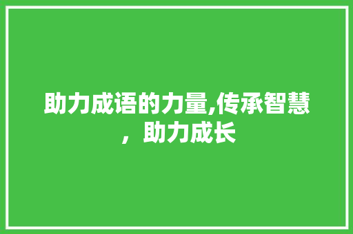 助力成语的力量,传承智慧，助力成长 诗词鉴赏