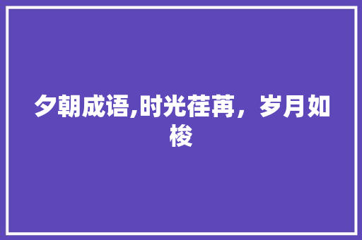 夕朝成语,时光荏苒，岁月如梭