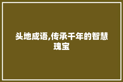 头地成语,传承千年的智慧瑰宝