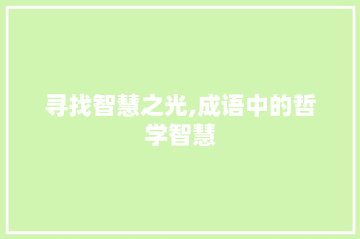 寻找智慧之光,成语中的哲学智慧 职场写作