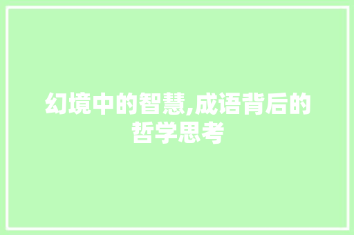 幻境中的智慧,成语背后的哲学思考