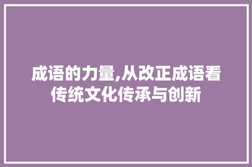 成语的力量,从改正成语看传统文化传承与创新 职场写作
