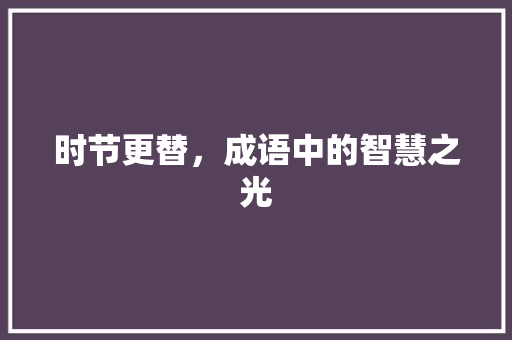 时节更替，成语中的智慧之光 项目报告
