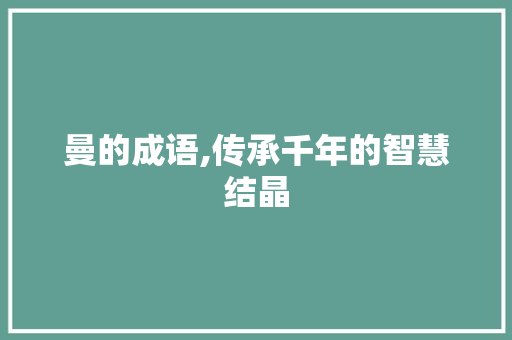 曼的成语,传承千年的智慧结晶