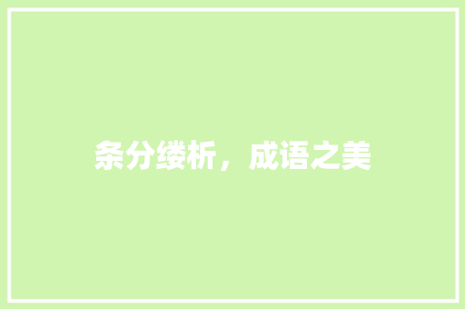 条分缕析，成语之美 应用文