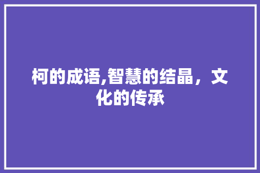 柯的成语,智慧的结晶，文化的传承 诗词体裁