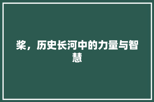 桨，历史长河中的力量与智慧