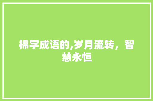 棉字成语的,岁月流转，智慧永恒
