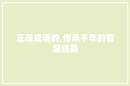 正茂成语的,传承千年的智慧结晶 项目报告