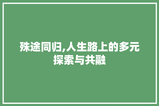 殊途同归,人生路上的多元探索与共融 项目报告