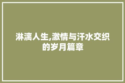 淋漓人生,激情与汗水交织的岁月篇章