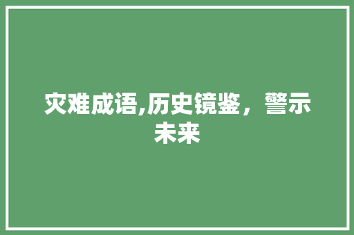 灾难成语,历史镜鉴，警示未来