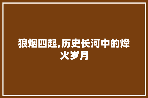 狼烟四起,历史长河中的烽火岁月 诗词鉴赏