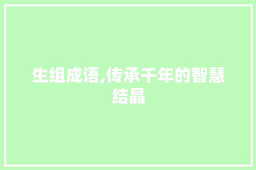 生组成语,传承千年的智慧结晶 会议纪要