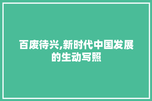 百废待兴,新时代中国发展的生动写照 社交媒体