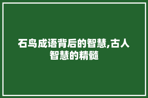石鸟成语背后的智慧,古人智慧的精髓