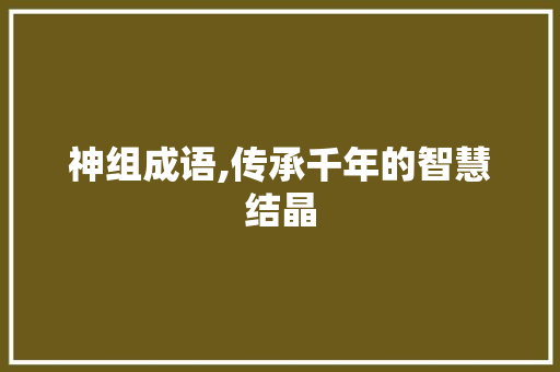 神组成语,传承千年的智慧结晶