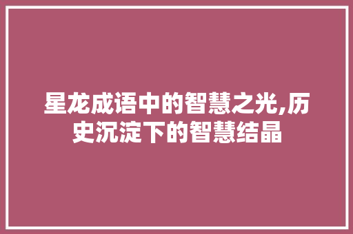 星龙成语中的智慧之光,历史沉淀下的智慧结晶