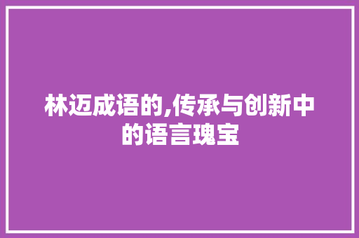 林迈成语的,传承与创新中的语言瑰宝