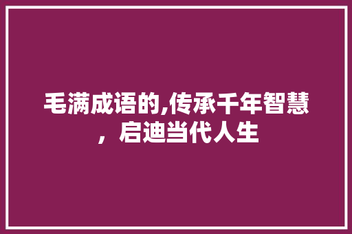 毛满成语的,传承千年智慧，启迪当代人生 工作总结