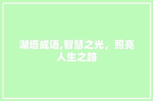 湖塔成语,智慧之光，照亮人生之路