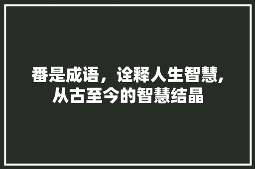 番是成语，诠释人生智慧,从古至今的智慧结晶