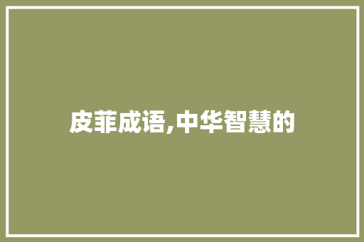 皮菲成语,中华智慧的